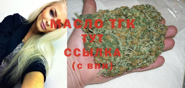 молекула духа Новодвинск