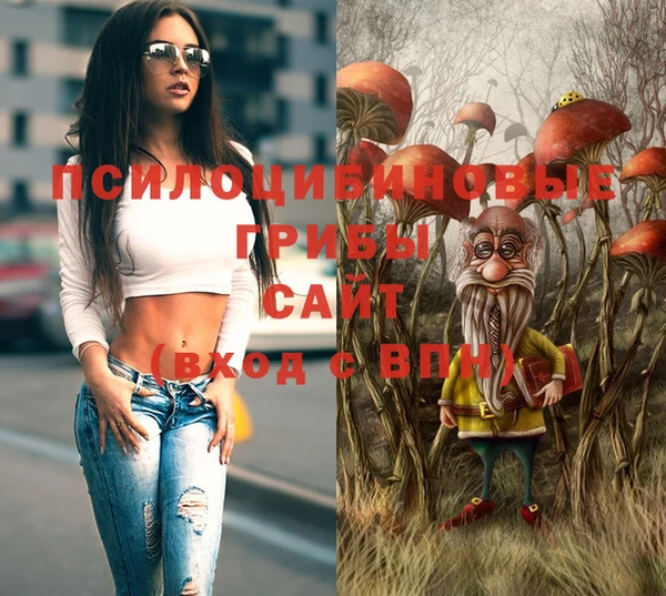 МДПВ Новозыбков
