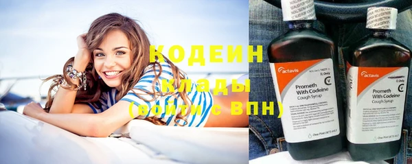 молекула духа Новодвинск