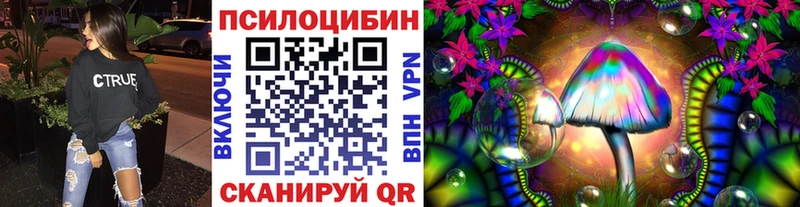 kraken как войти  Берёзовка  Псилоцибиновые грибы мухоморы 